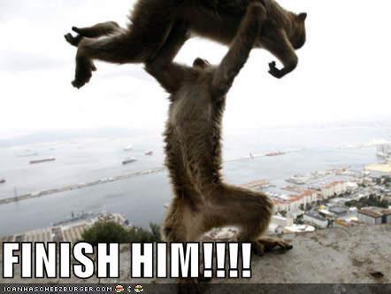 funny-pictures-mortal-kombat-monkeys.jpg