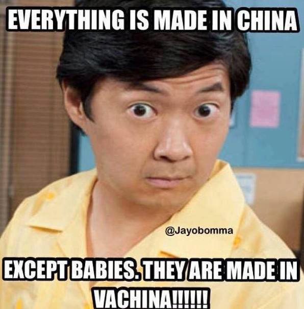 Everything-Is-Made-In-China-Except-Babies-They-Are-Made-In-Vachina-.jpg