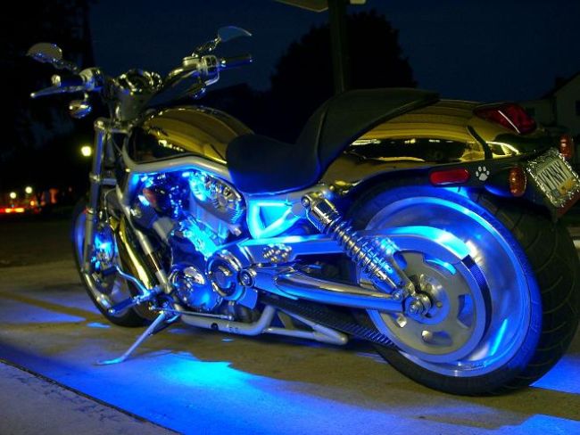 bathing on the other hand, smear Low price waterproof flexible LED strip lights - Harley Davidson Forums