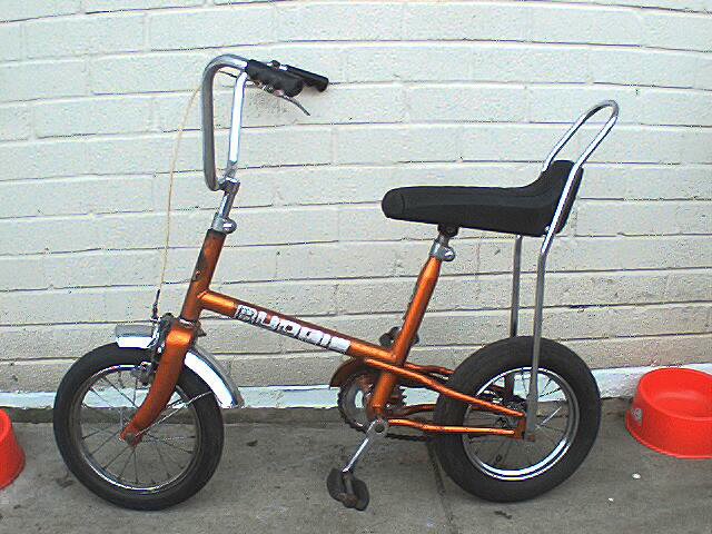 Which one you had growing up- grifter, chopper or ah Budgie ...